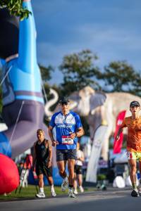 BIB: 
                            <button type="button" onclick="openModal(26541416)" class="btn btn-primary btn-sm float-right btn-popup" data-toggle="modal" data-target=".modal-high-quality">
                        <i class="fas fa-shopping-cart"></i> Add to Cart
                    </button>
                                            <button type="button" onclick="isThisMe(26541416, true)" class="btn btn-success btn-sm float-right btn-popup btn-isme hidden" data-toggle="tooltip" data-placement="bottom" title="นี่คือรูปของคุณใช่ไหม คลิกที่นี่เพื่อเอาเข้าอัลบั้ม">
                        <i class="fas fa-plus"></i> Add to album
                    </button>
                    <button type="button" onclick="isThisMe(26541416, false)" class="btn btn-warning btn-sm float-right btn-popup btn-isnotme hidden">
                        <i class="fas fa-ban"></i> Remove from album
                    </button>